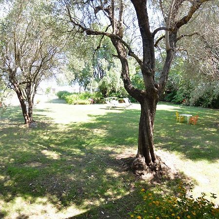 Casa Romana Βιαρέτζιο Εξωτερικό φωτογραφία