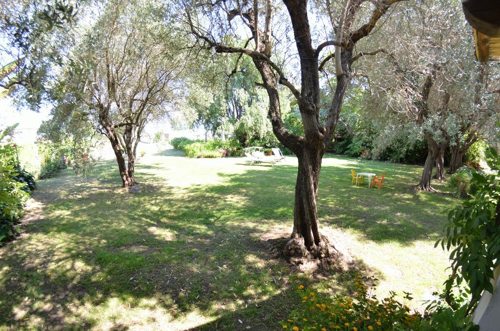 Casa Romana Βιαρέτζιο Εξωτερικό φωτογραφία