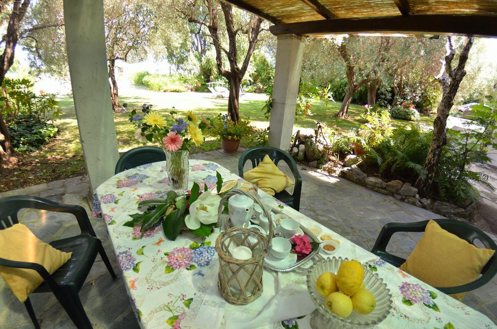 Casa Romana Βιαρέτζιο Εξωτερικό φωτογραφία