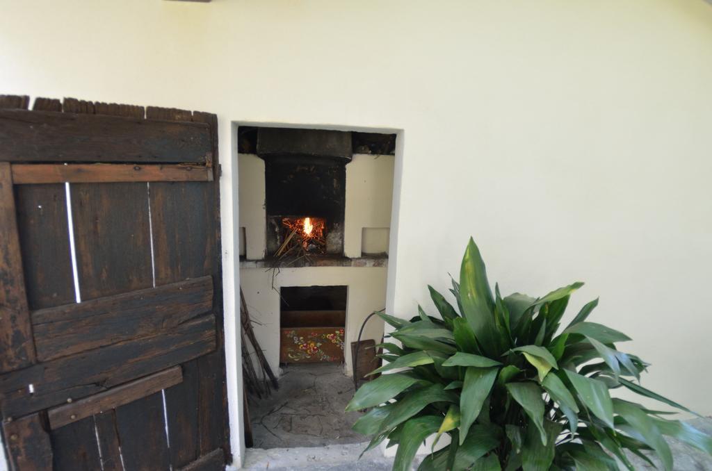 Casa Romana Βιαρέτζιο Εξωτερικό φωτογραφία